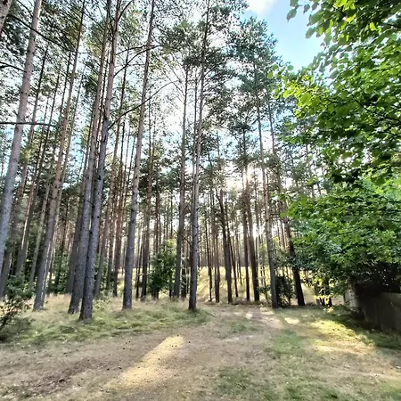 Lesny Z Prywatnym Pomostem Vakantiehuis Trzebiechowo
