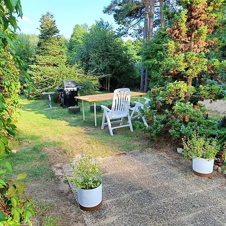 Lesny Z Prywatnym Pomostem