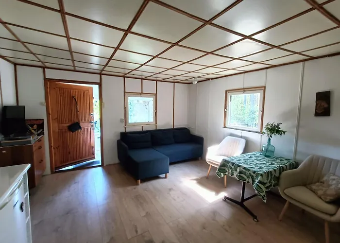 Lesny Z Prywatnym Pomostem 度假居