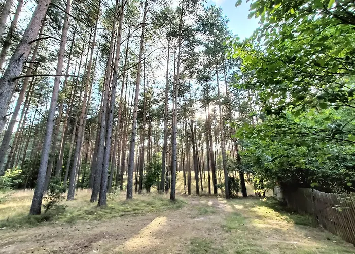 Lesny Z Prywatnym Pomostem 度假居 Trzebiechowo