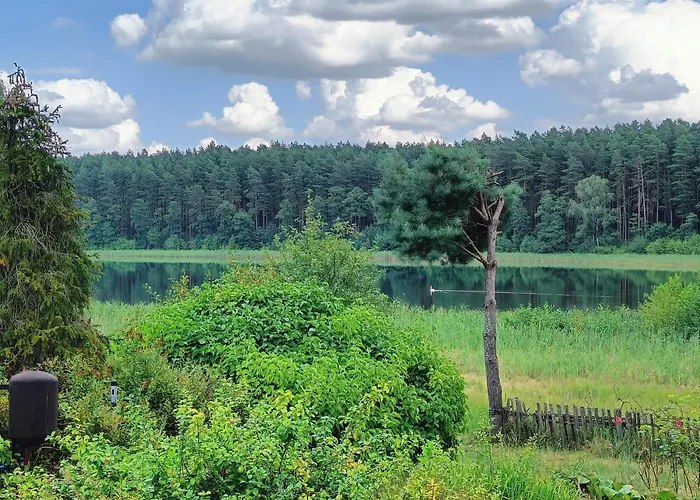 Lesny Z Prywatnym Pomostem *